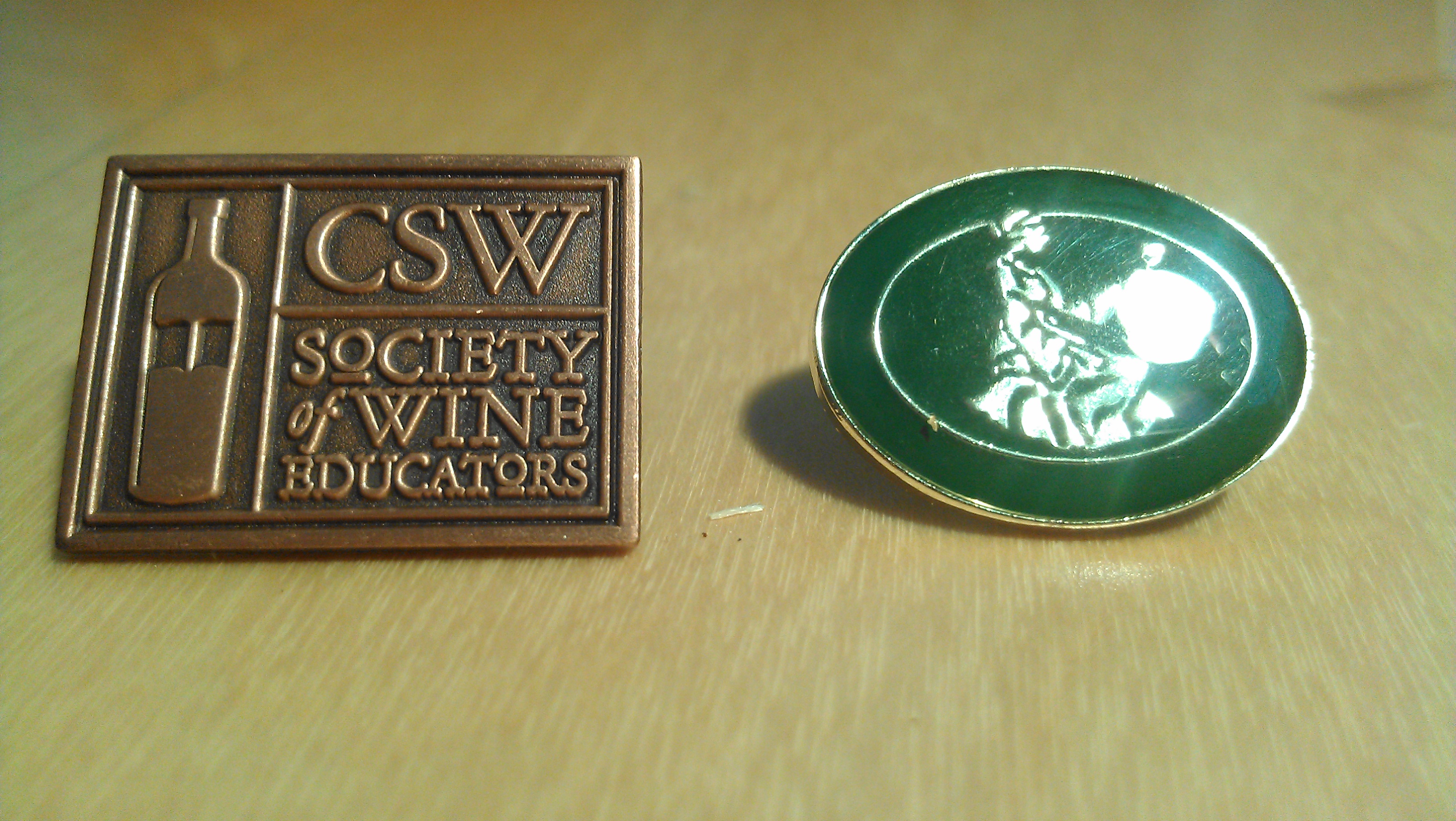 CSW & WSET pins