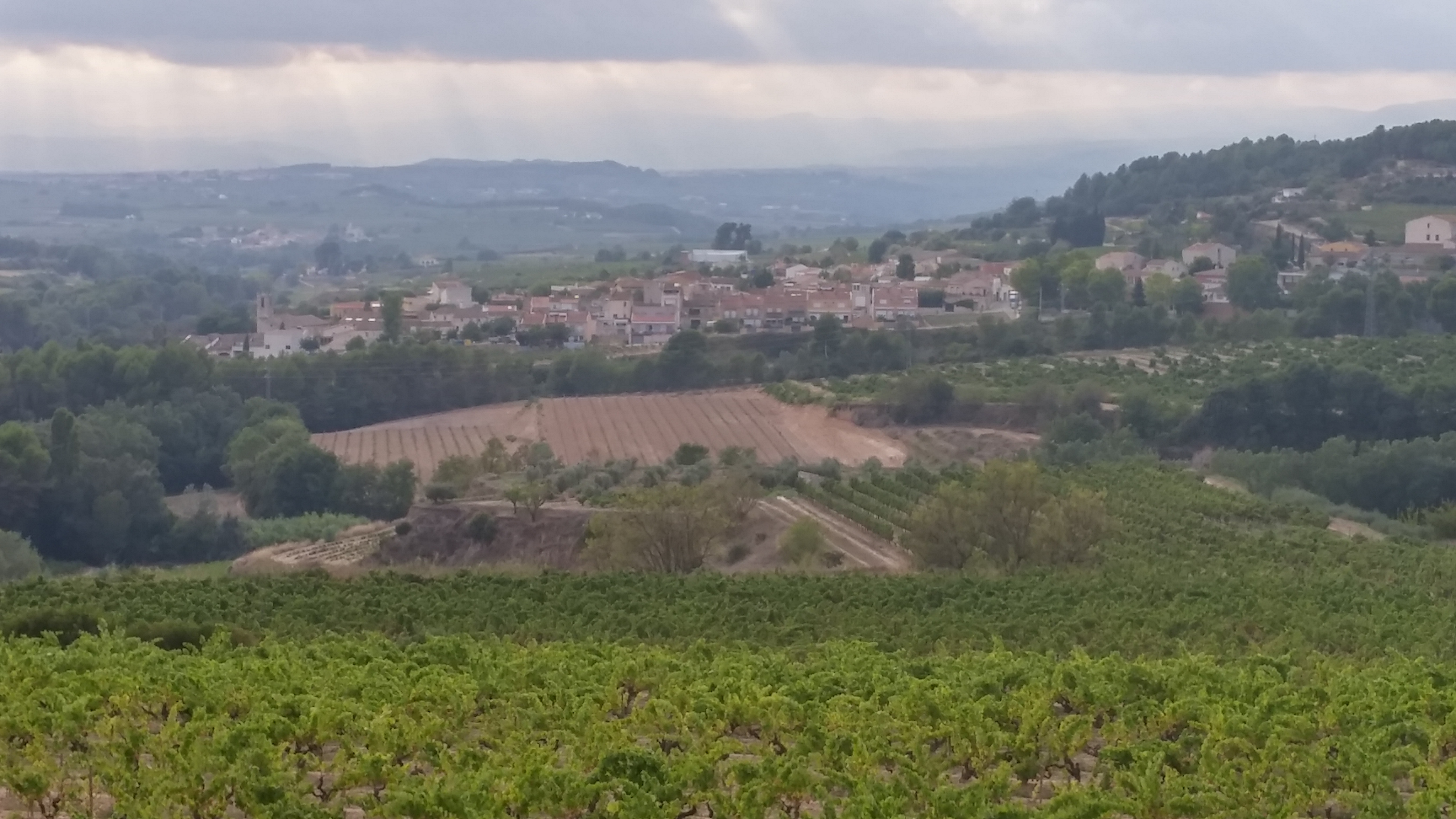 View over St. Pau