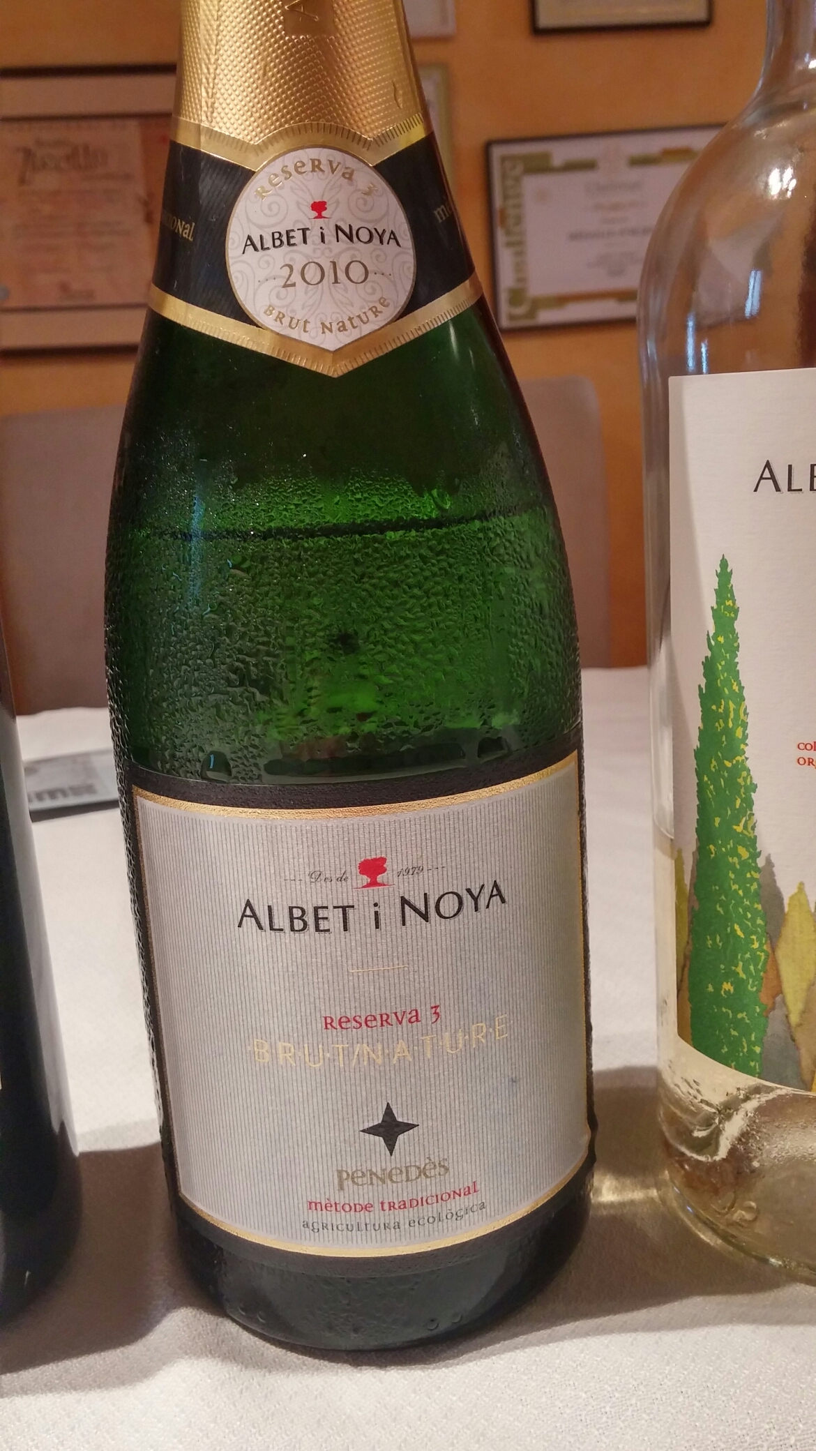 Albet i Noya Penedès sparkling